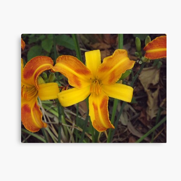 SENTRY 2 Canvas Print