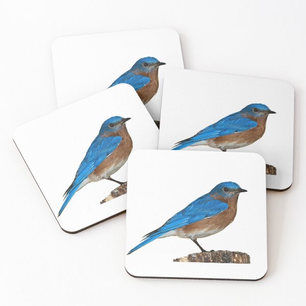 Item preview, "Bluebird" bird designed and sold by LaurentRuiz.