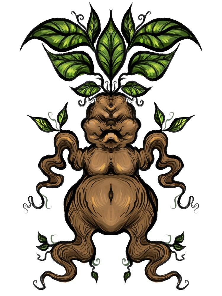 Mandrake Character Stock Illustrations – 163 Mandrake Character