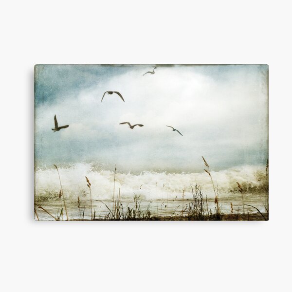 Love of the Sea I Canvas Print