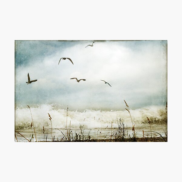 Love of the Sea I Photographic Print