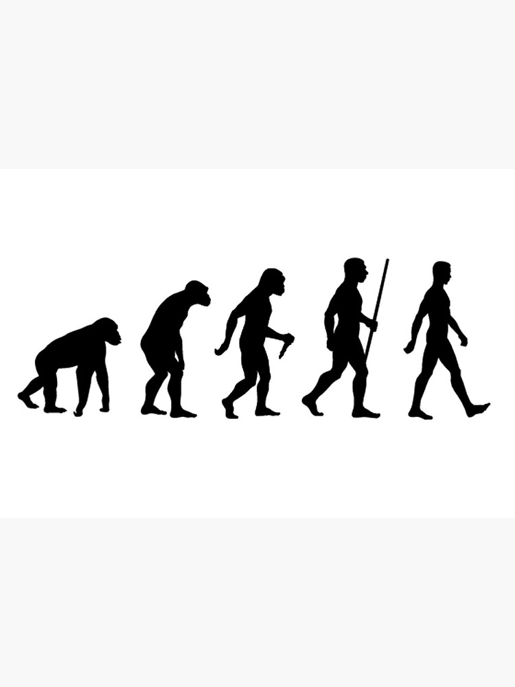 Gift Birthday Funny Human Evolution T-Shirt Gift Birthday Funny Human Evolution T-Shirt