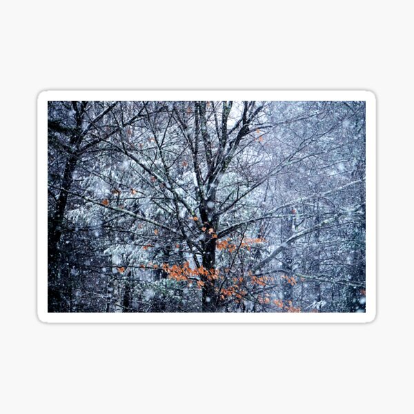 winter light Sticker