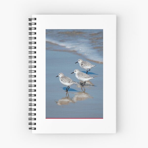 Item preview, Beach Strollers designed and sold by Sandy Woolard.