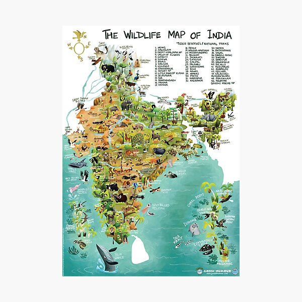 Item preview, The Wildlife Map of India designed and sold by Green Humour.