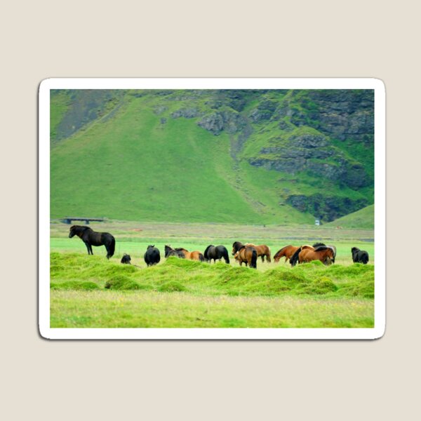 Item preview, Iceland horses vol.1 designed and sold by Natalie Stark.