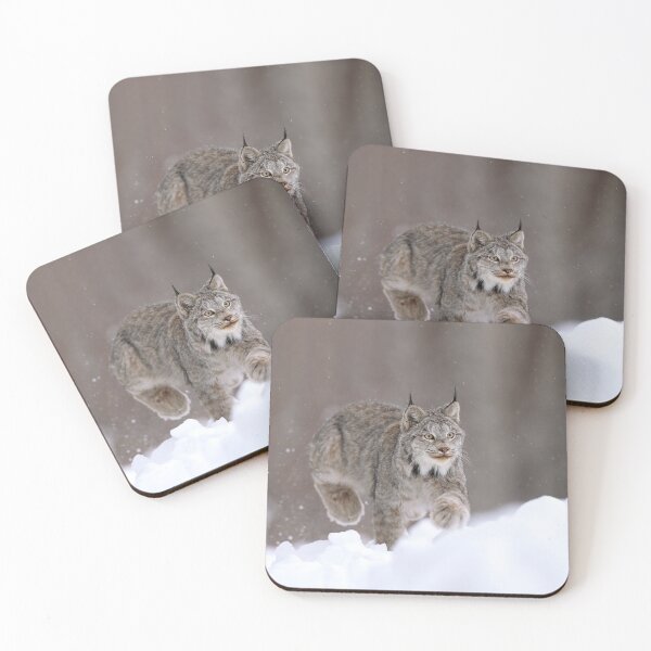 Item preview, Fast Canada Lynx  designed and sold by mlorenz.