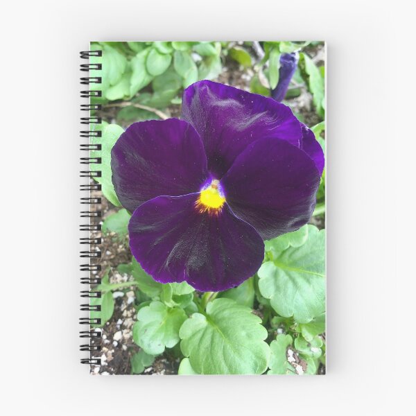 Item preview, Purple Flower at The Alamo designed and sold by MetalheadMinis.