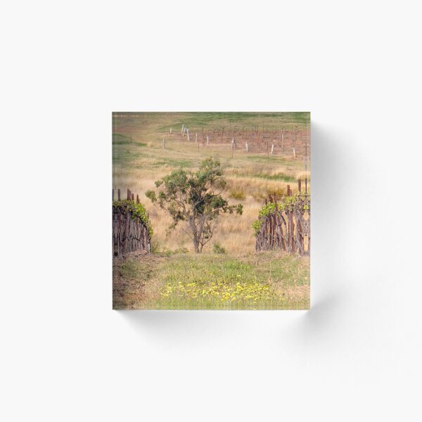 Item preview, Pokolbin Vineyards - NSW Australia designed and sold by Bev Woodman.