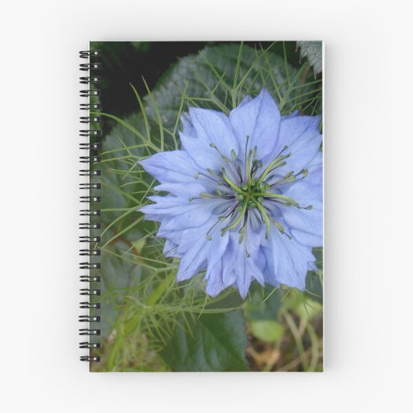 Item preview, Love-In-A-Mist designed and sold by Ellanita.