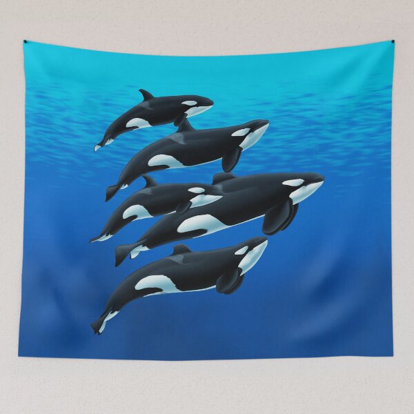 Item preview, San Antonio Orcas 2020 designed and sold by Art-by-Aelia.