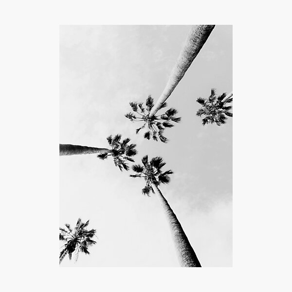 Item preview, Palm Trees, Black and White, Modern, Minimalist Art designed and sold by moderntrend.