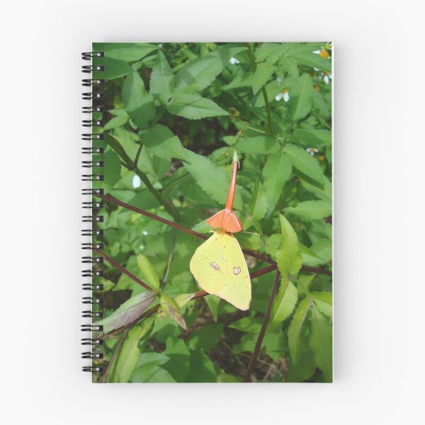 Item preview, Cloudless Sulphur butterfly in Mahogany Vine designed and sold by May Lattanzio.