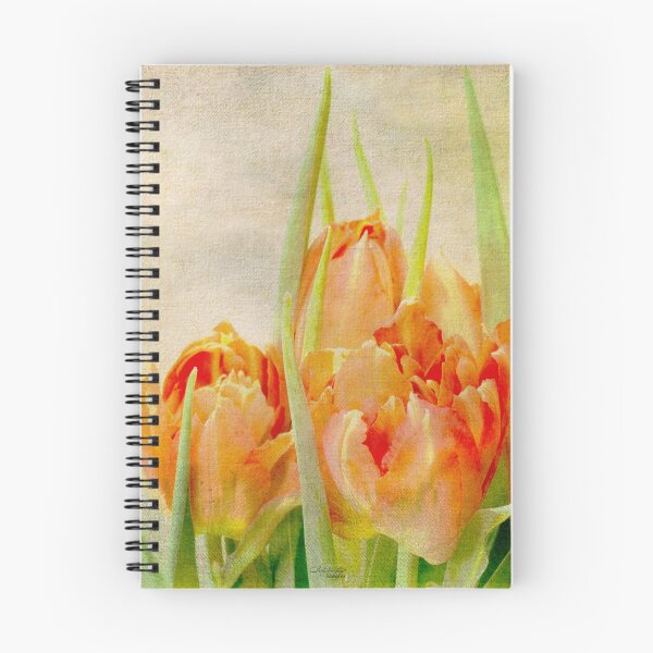 Item preview, Haarlem dreaming ... designed and sold by Chris Armytage™.