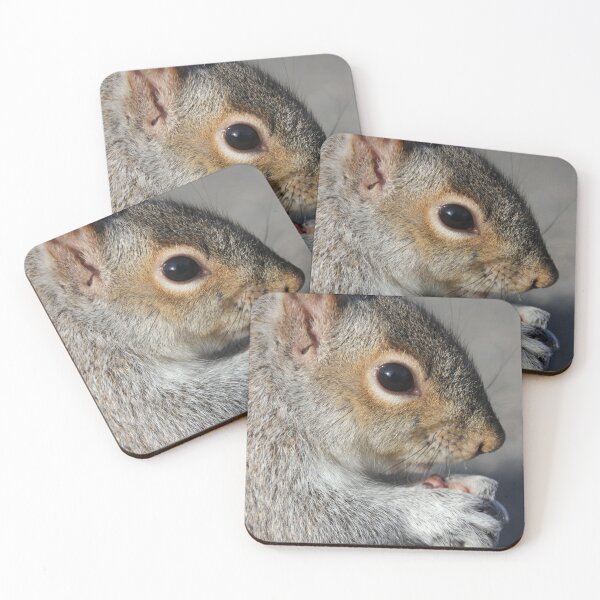 Item preview, Public Garden Squirrel: A Portrait designed and sold by Autumn Seas Photography.