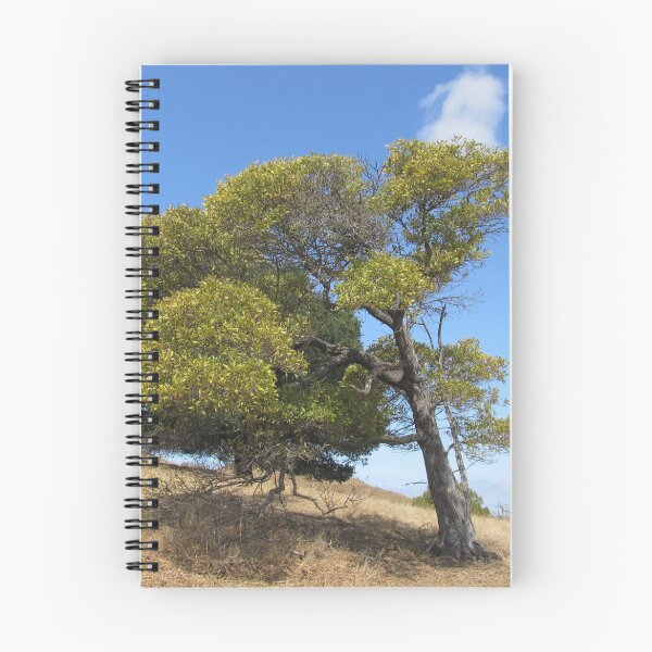 Item preview, Tree On A Hill designed and sold by ArcherArtist.