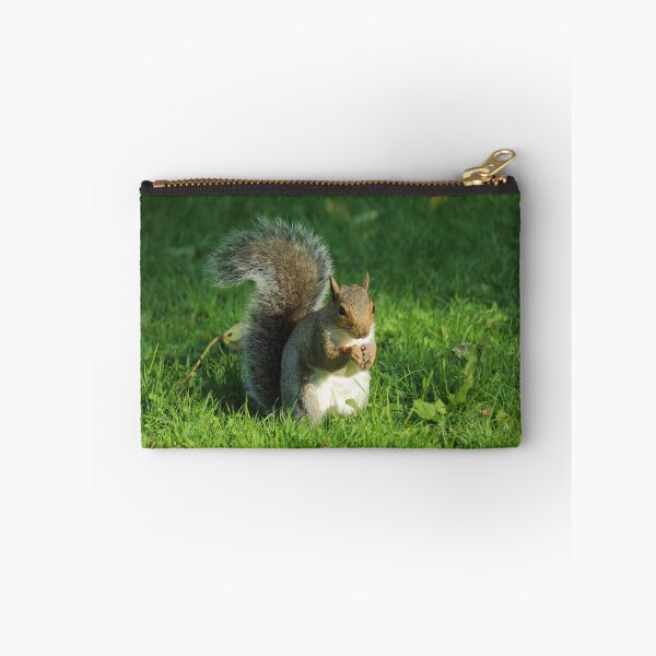Item preview, Grey Squirrel, Bute Park, Cardiff designed and sold by Artberry.