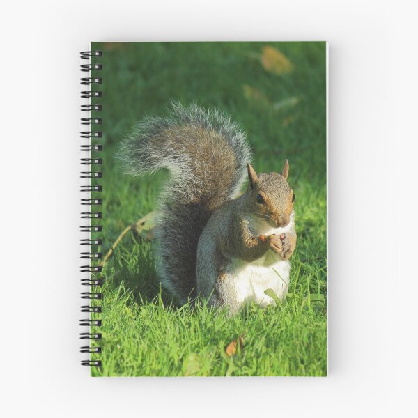 Item preview, Grey Squirrel, Bute Park, Cardiff designed and sold by Artberry.