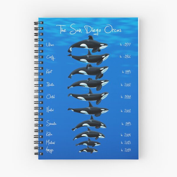 Item preview, The San Diego Lineup 2020 designed and sold by Art-by-Aelia.