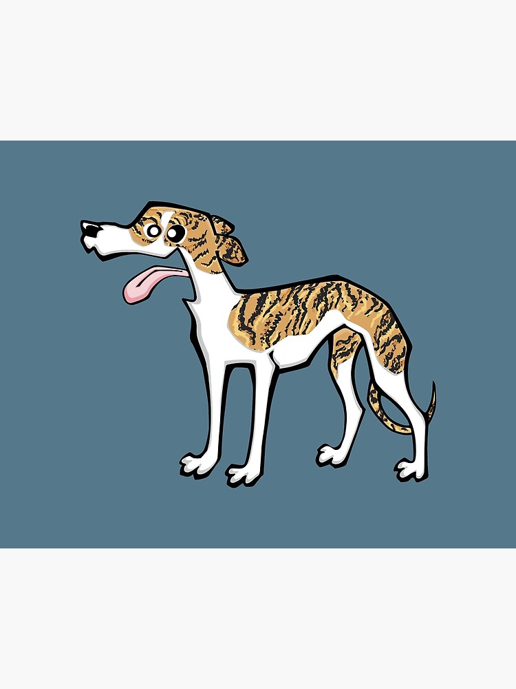 brindle and white whippet