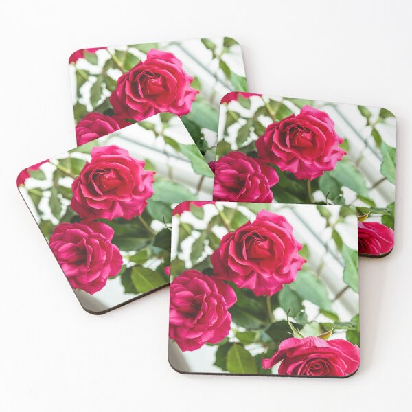 Item preview, Fresh Red Rose Flowers designed and sold by newburyboutique.
