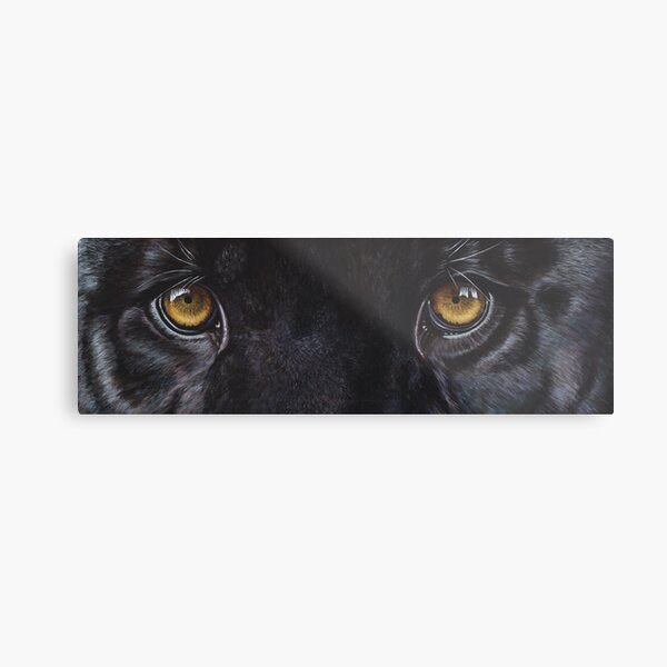 Black Panther Eyes Metal Print