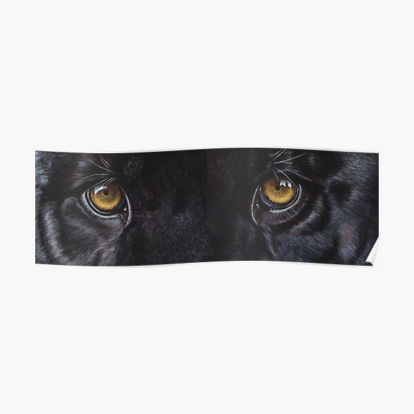Black Panther Eyes Poster