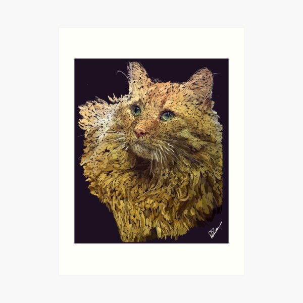 Casimir the adorable Cat Art Print
