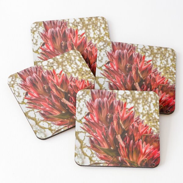 Item preview, Nature wearing her Sassy Pants designed and sold by Penny Heighes.