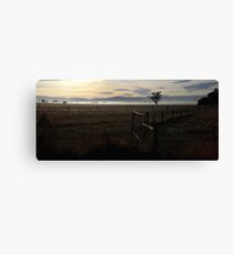 Tassie paddocks - winter time Canvas Print