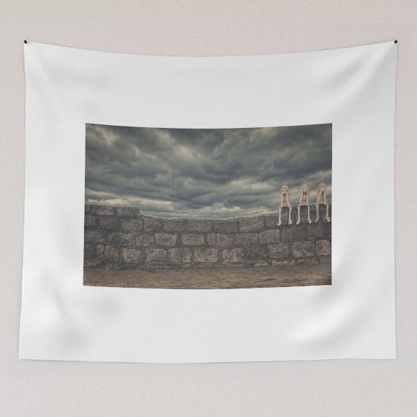 Item preview, The Wall designed and sold by pixelfan.