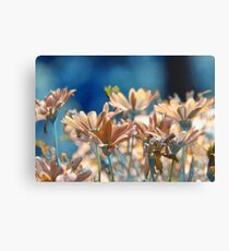 Flowers Canvas Print