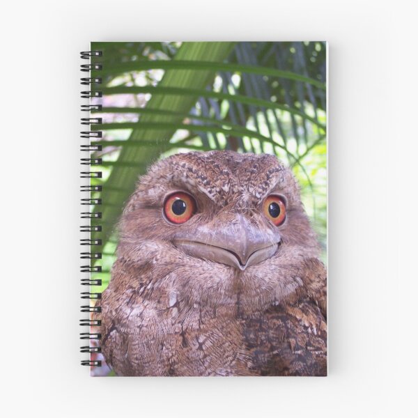 Item preview, Papuan Frogmouth  designed and sold by Wanderingeagles.