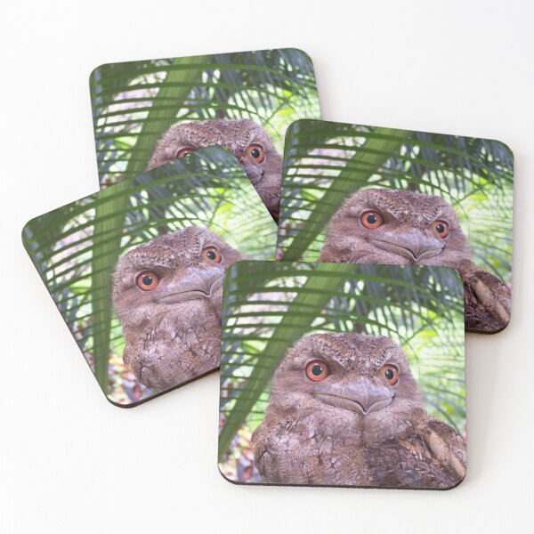 Item preview, Papuan Frogmouth  designed and sold by Wanderingeagles.