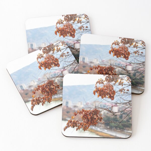 Item preview, Tree branches with autumn seeds on the background of the Kura River. Georgia designed and sold by EG Creativity Art.