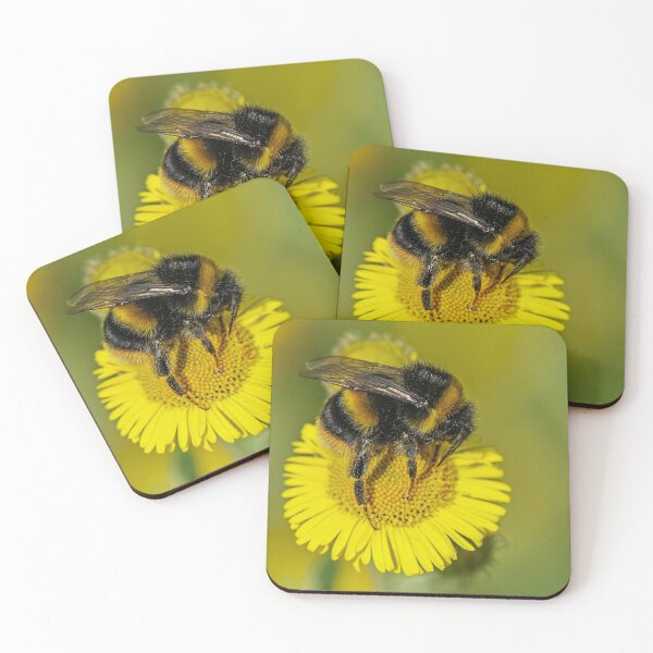 Item preview, Bumble Bee on Wildflower designed and sold by DonMc.