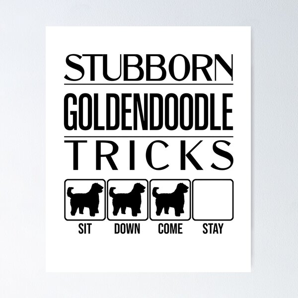 Item preview, Funny Goldendoodle Design: Stubborn Goldendoodle Tricks / Stubborn Dog Tricks, funny gift idea designed and sold by HEJAshirts.