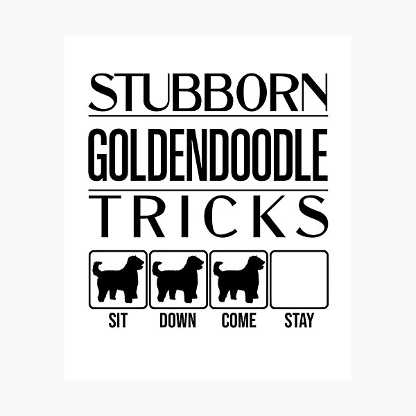 Item preview, Funny Goldendoodle Design: Stubborn Goldendoodle Tricks / Stubborn Dog Tricks, funny gift idea designed and sold by HEJAshirts.