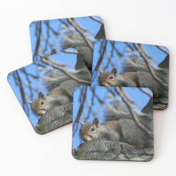 Item preview, Squirrel Trying to Hide designed and sold by AnnDixon.