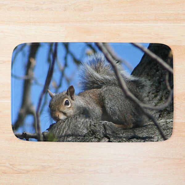 Item preview, Squirrel Trying to Hide designed and sold by AnnDixon.