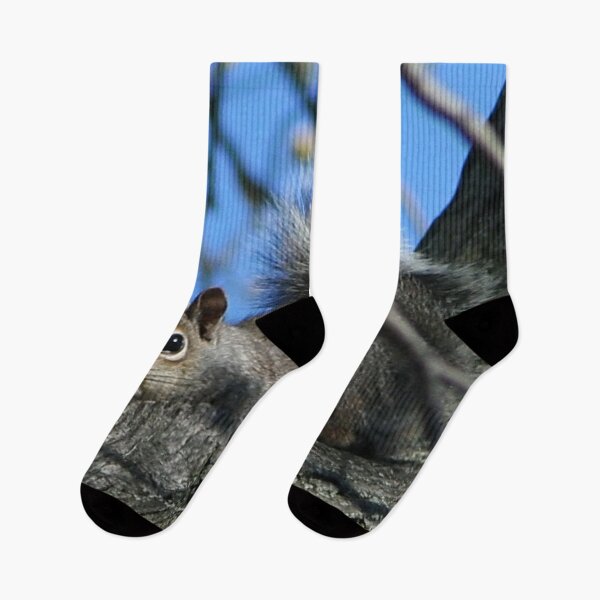 Item preview, Squirrel Trying to Hide designed and sold by AnnDixon.