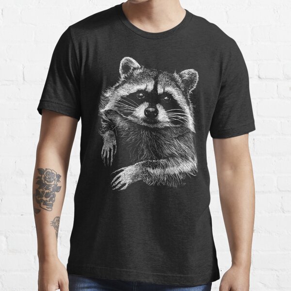 racoon\