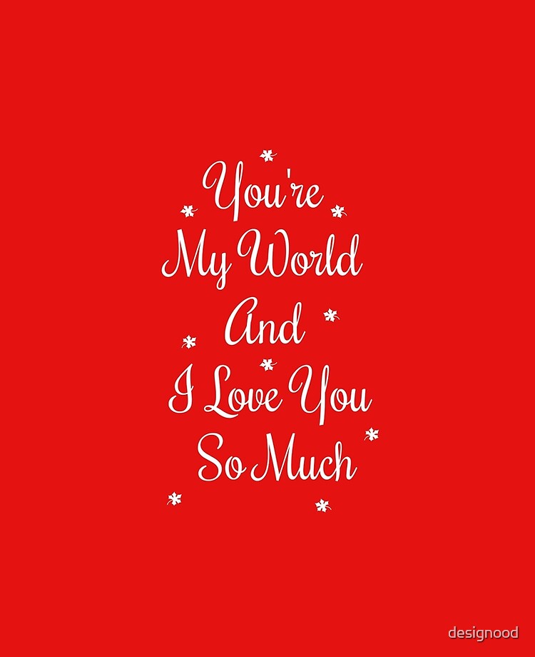 You Re My World And I Love You So Much Love Gift For Someone You Love Valentine S Day Gift Ipad Case Skin By Designood Redbubble