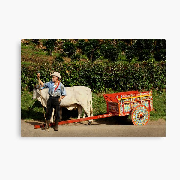 Pose for Coffee Canvas Print
