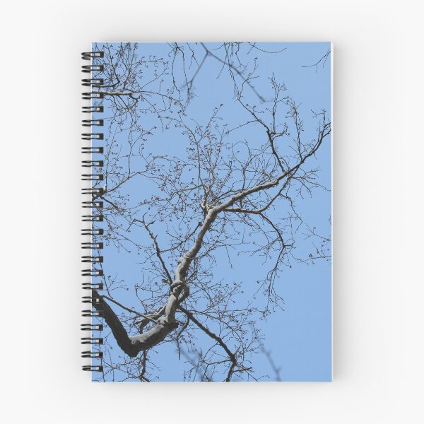 Item preview, Bare  branches  winter trees designed and sold by mrivserg.