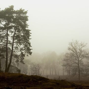 Artwork thumbnail, Silent trees in misty land 1 by steppeland