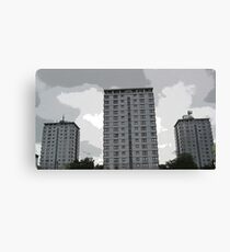 Leverton Gardens 2 , London Road , Sheffield, UK Canvas Print