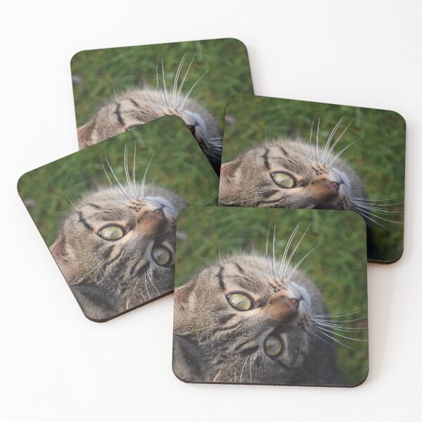 Item preview, cat, head close up designed and sold by LM-SDC.