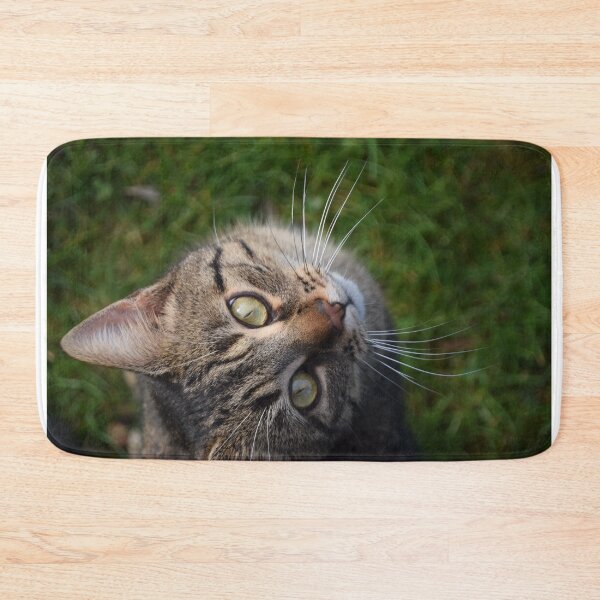 Item preview, cat, head close up designed and sold by LM-SDC.