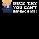 Nice Try You Can T Impeach Me Middle Finger Funny Pro Trump President Saying Proud Republican Poster By Bullquacky Redbubble